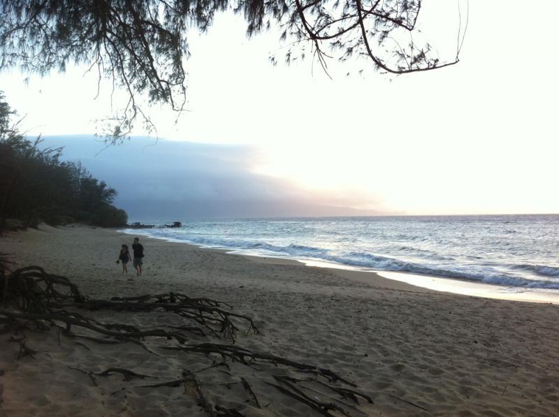 Paia