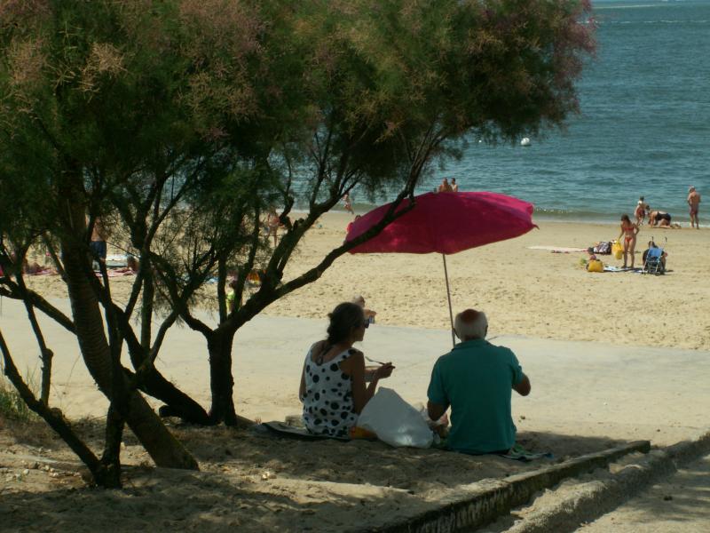 Landas
