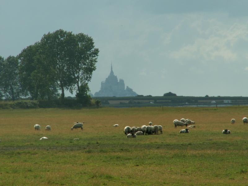 Mancha