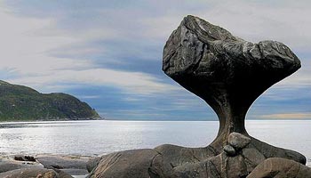 Vågsøy