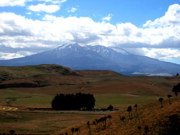 Owhango