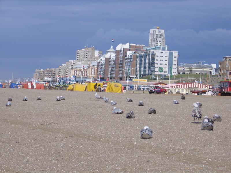Holanda Meridional