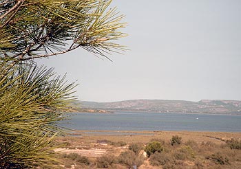 Sigean