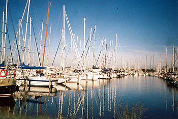 Bruinisse