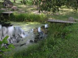 Frienstedt