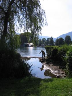 Schnett