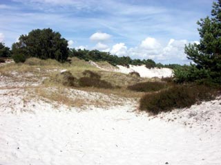 Syddanmark
