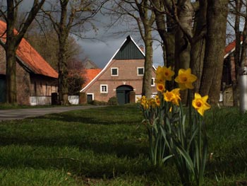 Güeldres