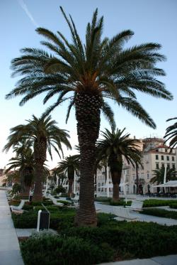 Dugi Otok