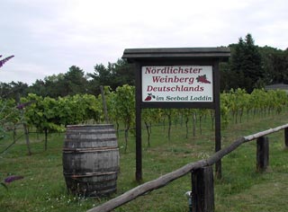Kölpinsee