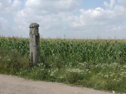 Distrito de Nordhausen