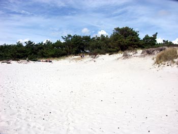 Palanga