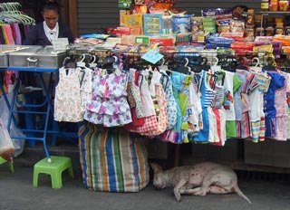 Provincia de Chiang Mai