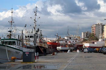Trapani