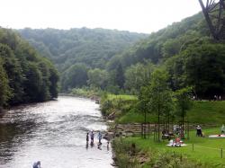 Funes